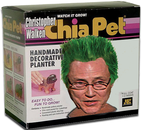 Chia pet