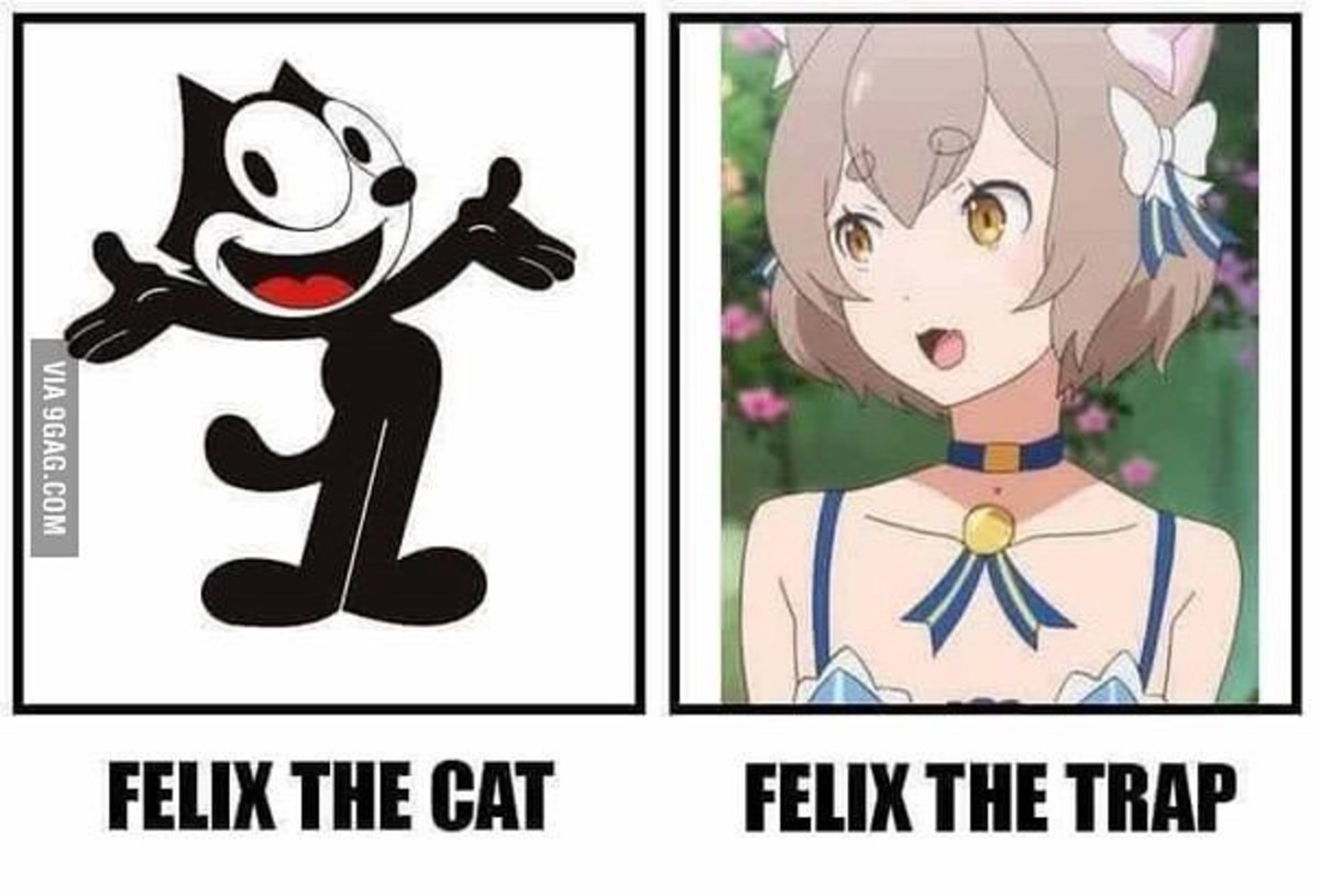 https://memeworld.funnyjunk.com/pictures/Felix+the+trap_526e31_6349217.jpg