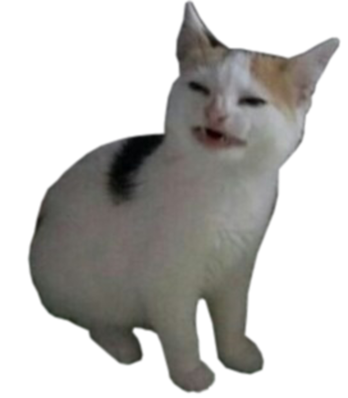 Pop Cat Meme PNG