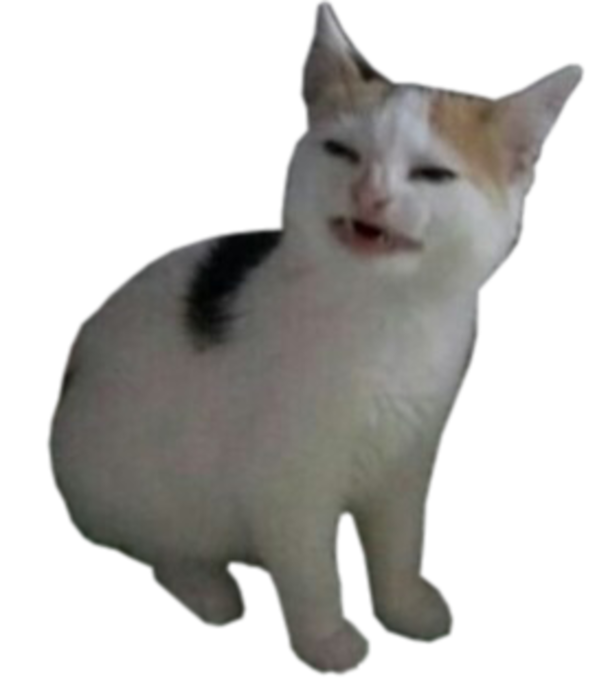 Pop Cat Meme Gif Transparent : Memes where I made the background ...